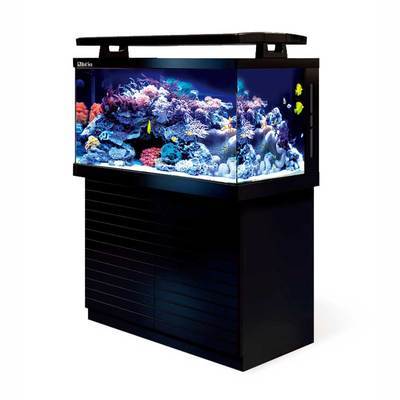 紅海MAX S-500 頂級(jí)海水魚(yú)缸的預(yù)定款，一淘網(wǎng)優(yōu)惠購(gòu)省心又省錢(qián)
