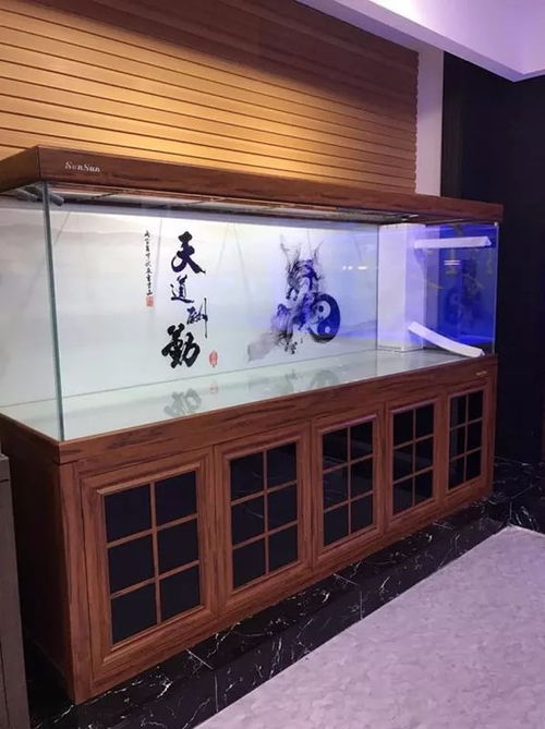 上海養(yǎng)魚圖鑒 從水族箱到錦鯉魚的一站式攻略
